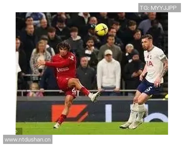 意甲博洛尼亚对克雷莫纳赛事分析与比分预测全解析