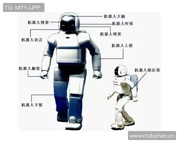 多感官电竞体验升级:触觉与嗅觉反馈技术的创新应用探讨 多感官电竞体验升级:触觉与嗅觉反馈技术的创新应用探讨